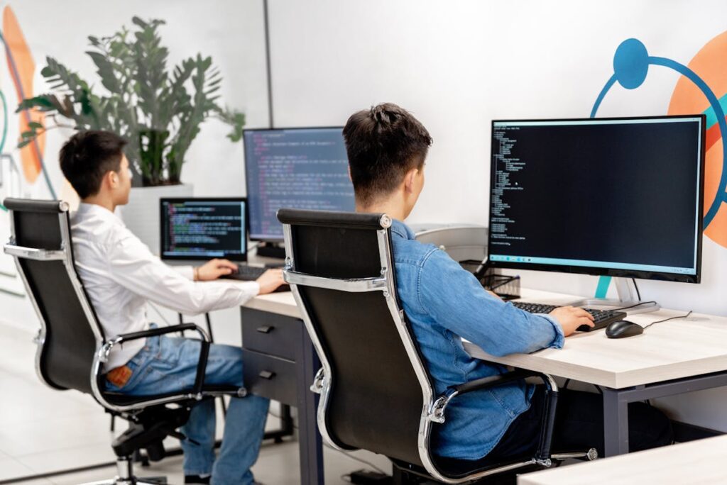 IT Consultant Jobs: Positions, Skills & Salaries in 2024 2 IT Jobs